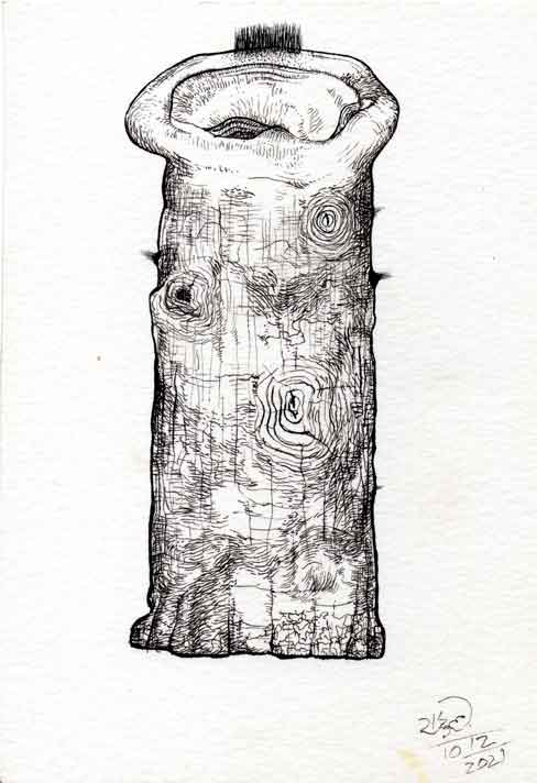 Dead Ear Tree 1