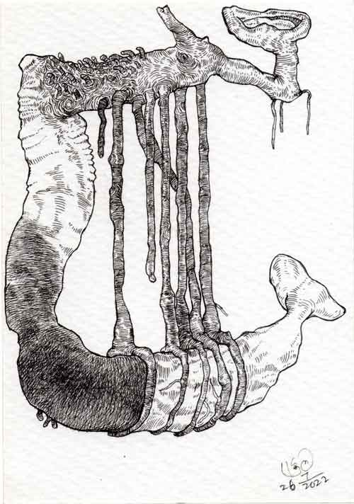 Dead Ear Tree 16