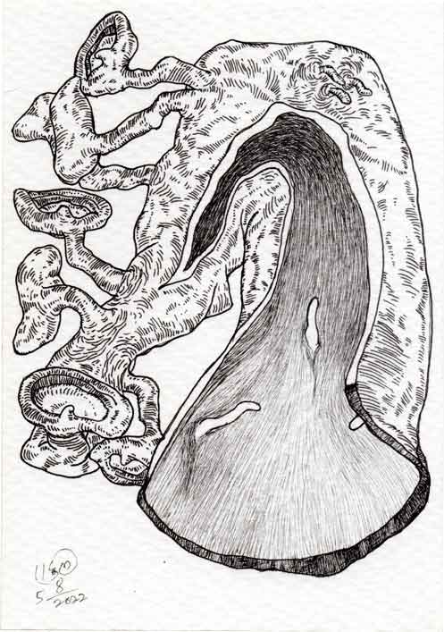 Dead Ear Tree 32