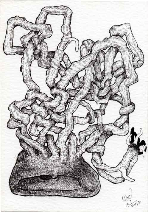 Dead Ear Tree 6