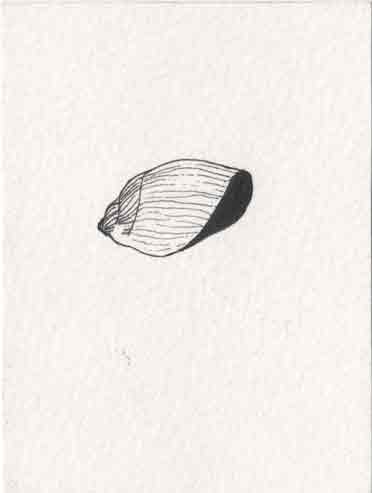 Drawing 17